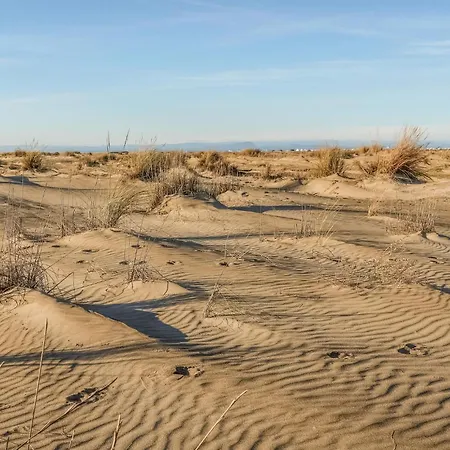 Cozy In With Wifi * Aigues-Mortes